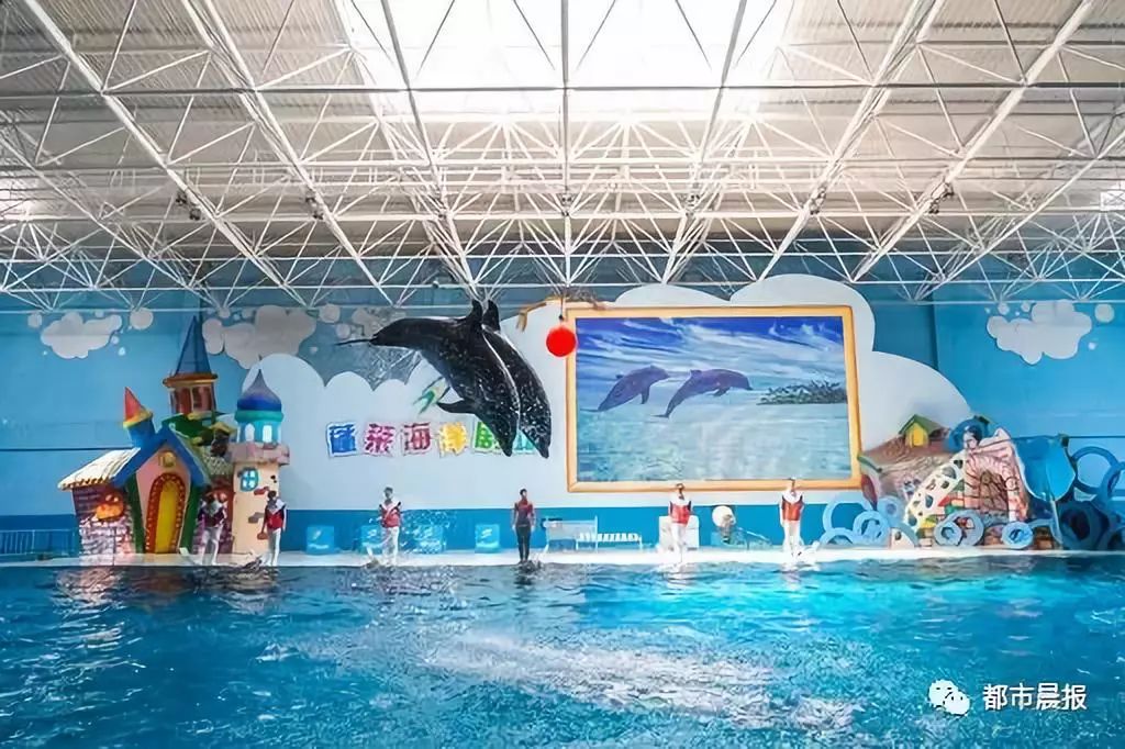 速看徐州人关心的海洋馆方特开业时间定了