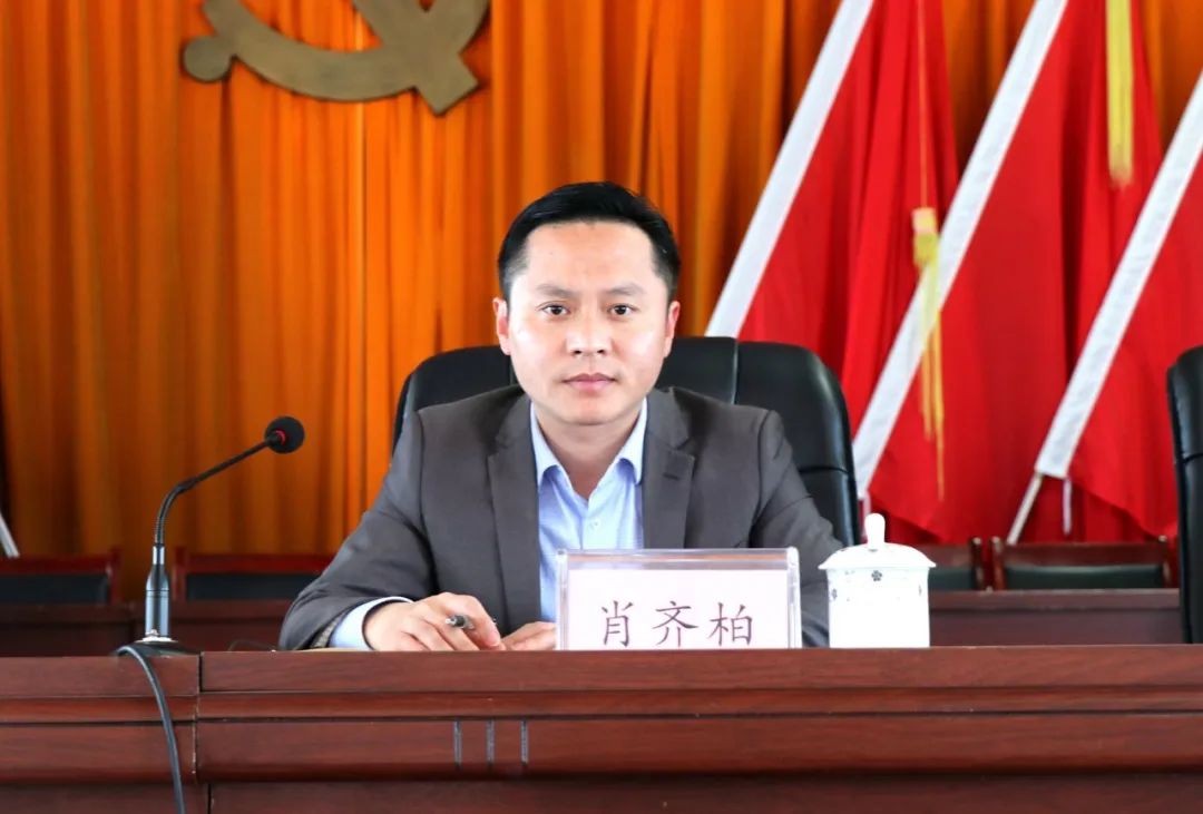 桐木镇召开2020年度综治信访暨扫黑除恶工作安排会