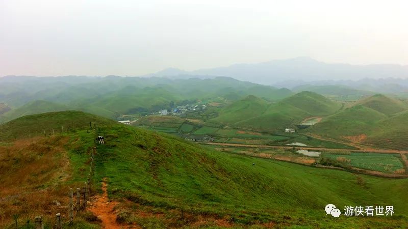 桂北湘南:湖南城步南山牧場