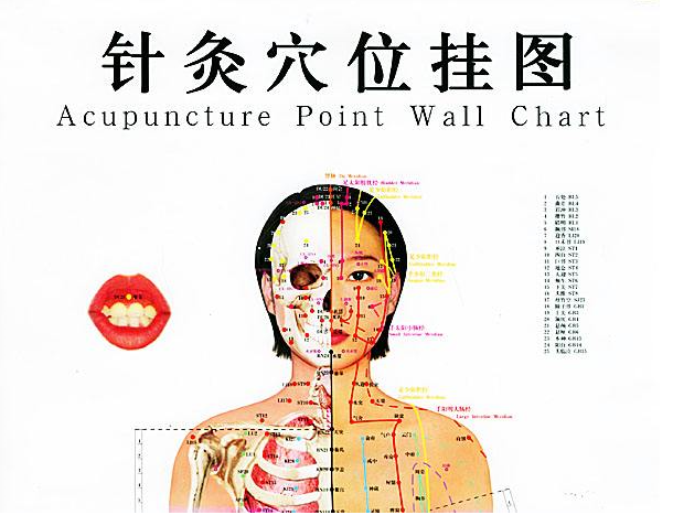 针灸疗法针灸治疗可以起到哪些作用呢