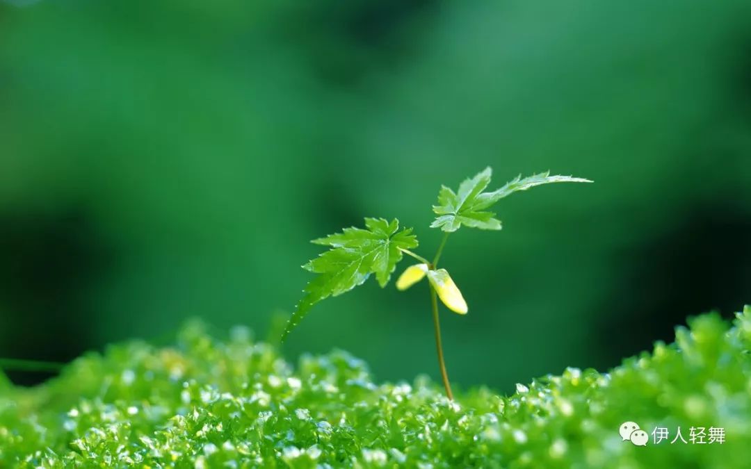 在春天里播种希望