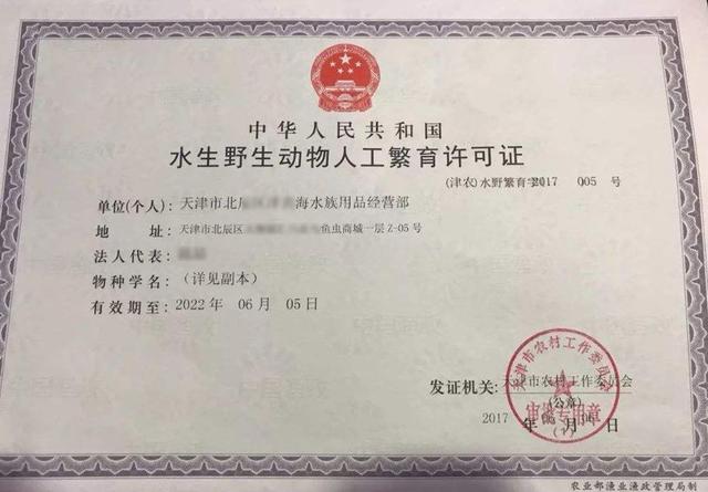 多地开展水生野生动物专项行动别怪我没提醒你