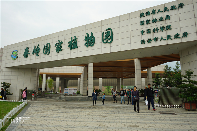 世界最大的植物园,西安秦岭里的秘境,邂逅2000年前诗经里植物