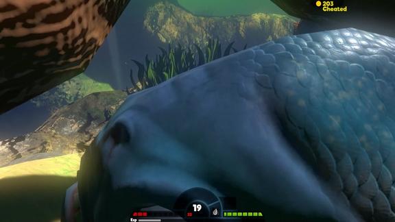 海底大猎杀一条食人鱼非常激烈的进攻成群的龙鱼