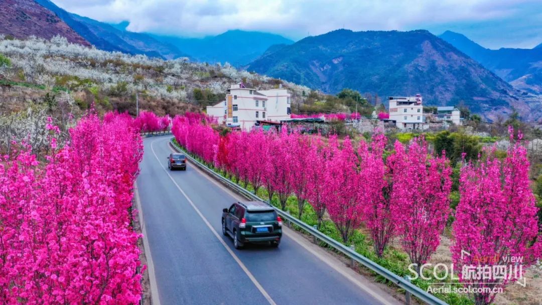 汉源梨花节图片