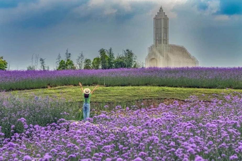 到彭山,走不走?打飞的!