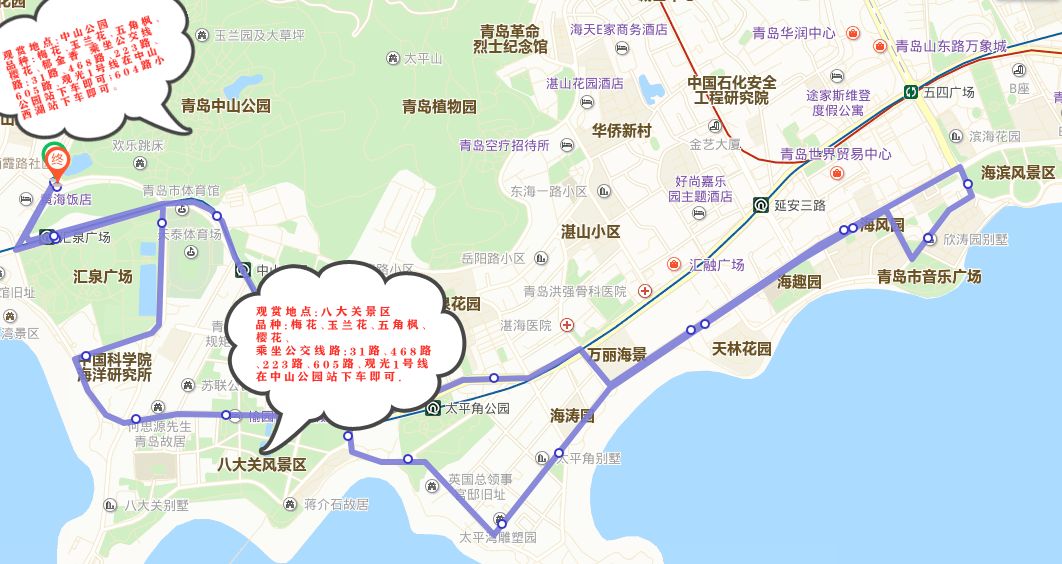 最近幾天來,溫馨巴士途經中山公園,八大關景區的公交車上均有一些前去