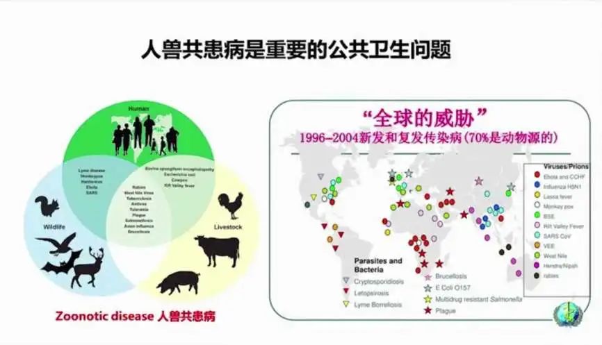 中国农大沈建忠院士:重思人与动物和谐相处之道 