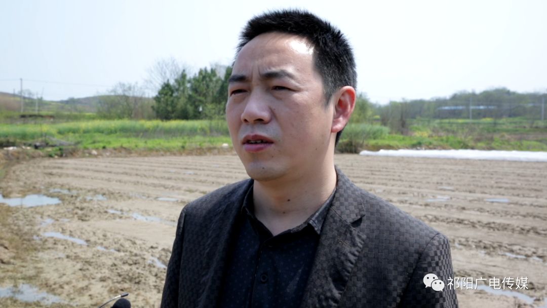 文明铺政策倾斜技术保障播种早稻面积达33万亩