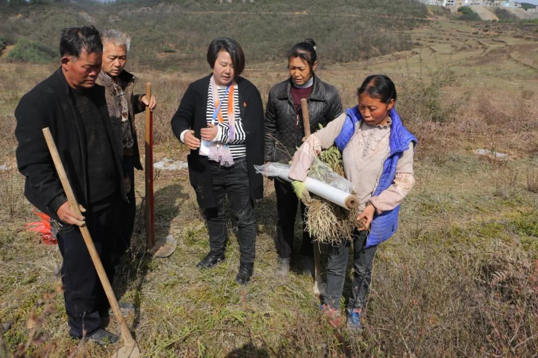 威宁龙街镇名人图片