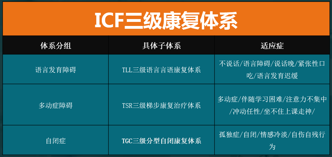 icf三級康復體系研發背景,歷程及相關介紹