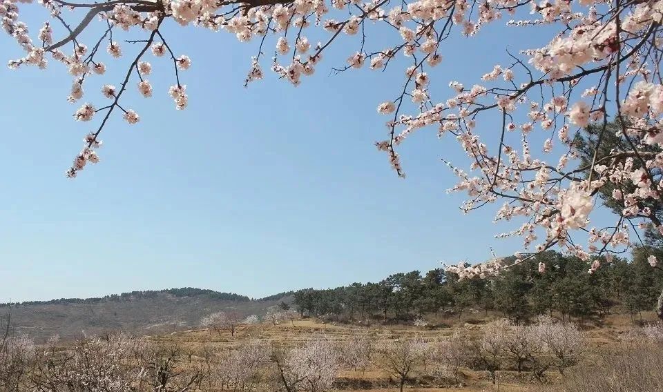 宁阳葛石蟠龙山图片