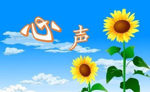 反思答疑分享提升岱岳实验中学倾听家长心声凝聚家校合力