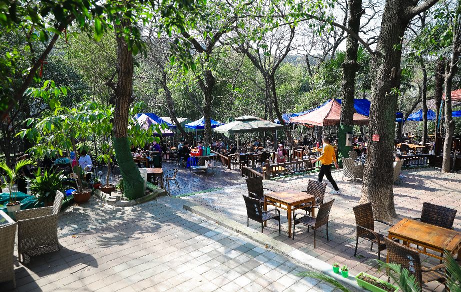 好久不见春暖花开虞山人家农家乐有序恢复营业