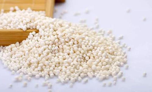 然后将沉淀的淀粉加工成一粒粒洁白晶莹的"大米",人称"西谷米"