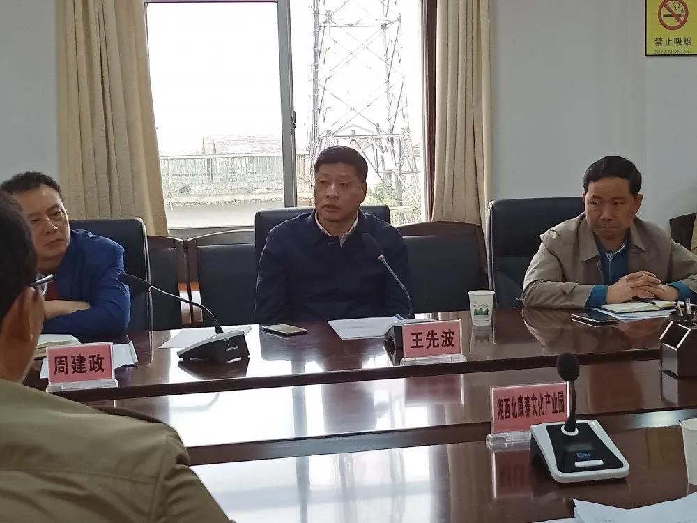 最后,常德市武陵区委副书记王先波作会议总结,并为湘西北康养文化产业