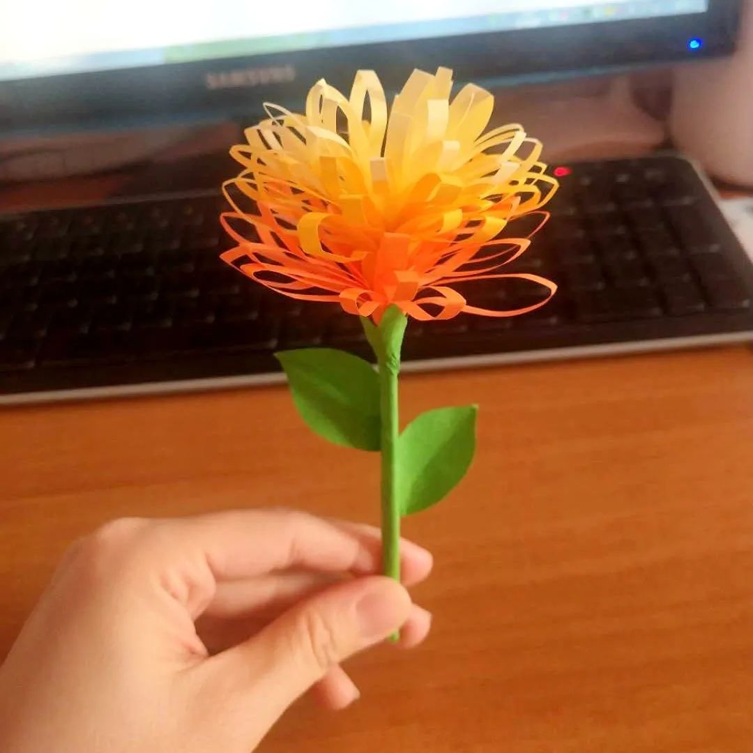 艺起抗疫大兴残联微博直播公开课掀起手工纸花制作热潮