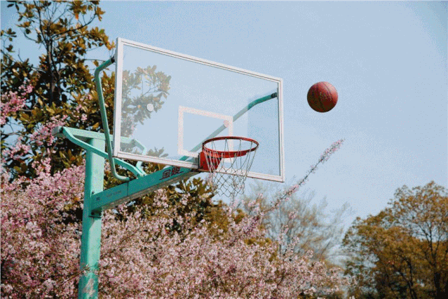 辅仁看点陌上花开可缓缓归矣