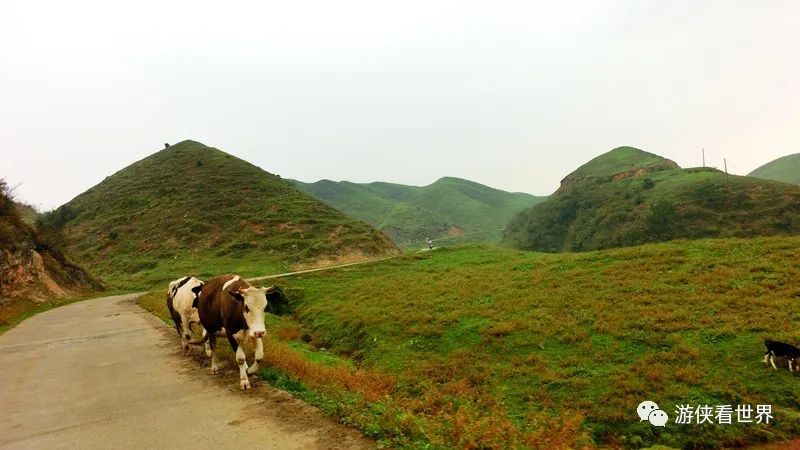 桂北湘南:湖南城步南山牧場