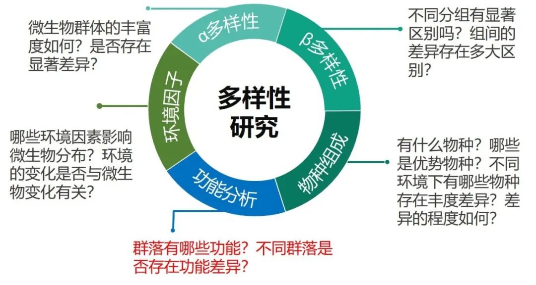 α多样性,β多样性等分析之后,通过深入讨论样本中群落的功能,分析不