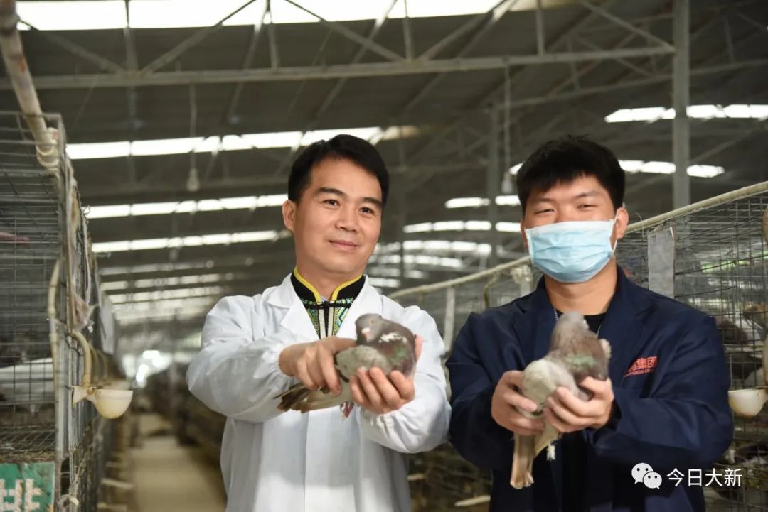 直播预告大新县副县长直播带货啦你想要的土货都在这