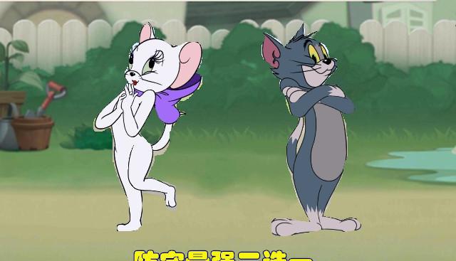 汤姆,剑客泰菲,剑客杰瑞和布奇上榜了