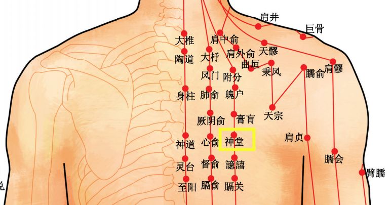 神堂的准确位置图图片