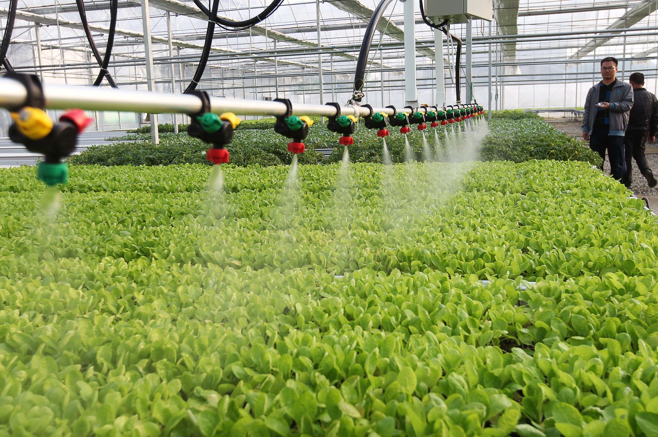 以色列温室大棚比滴灌更牛解析以色列温室大棚中罕见的黑科技