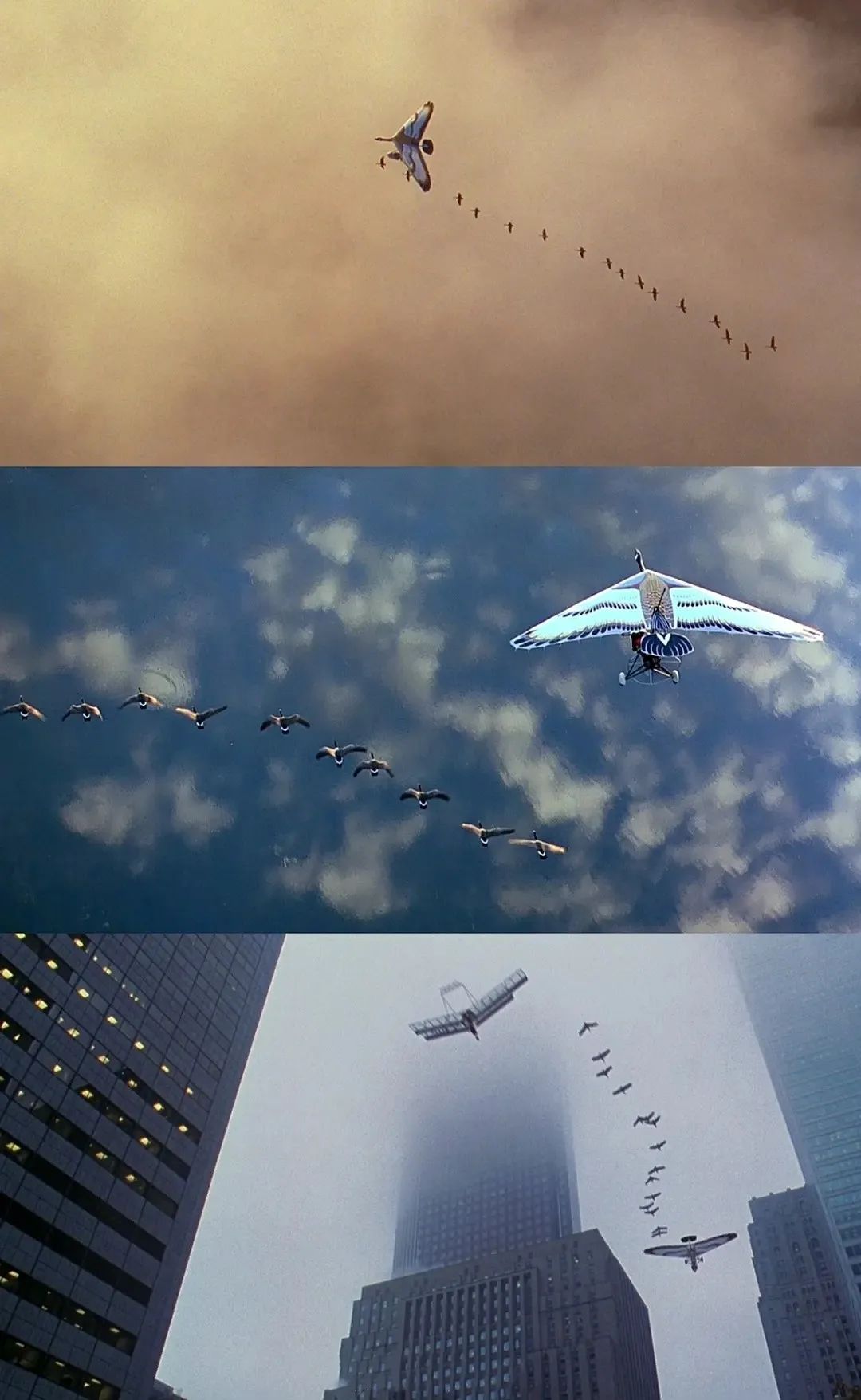 文学风采 | 伴你高飞