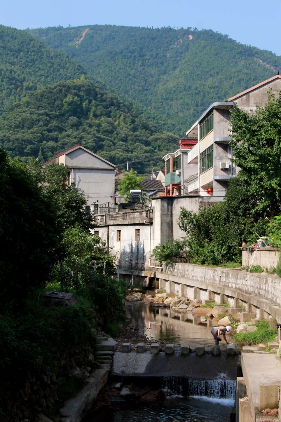 下管镇振新村丁宅乡上宅村95 撰文 | 鸭梨91 来源 | 浙江农业农村