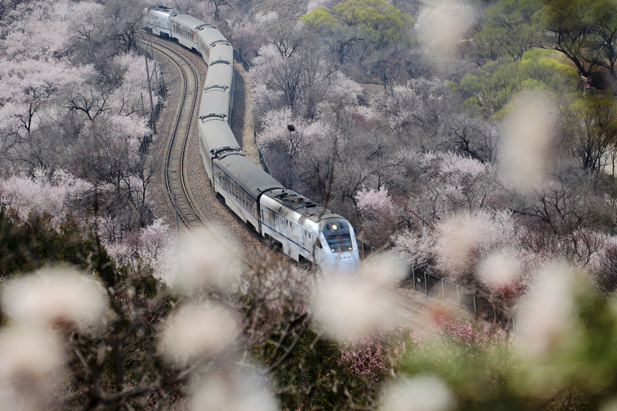 千龙图像库开往春天的列车