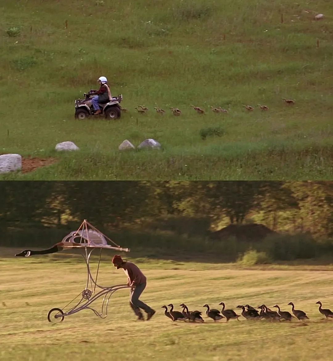 文学风采 | 伴你高飞