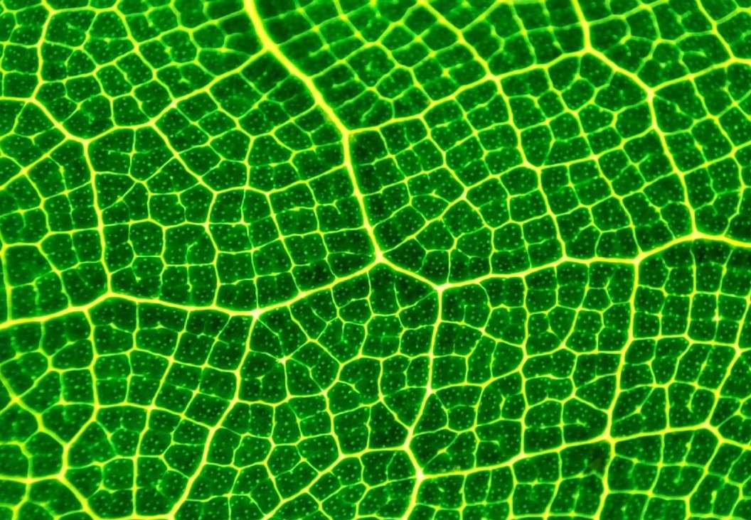 几张图看清redmik30pro配置和亮点,2999元起!