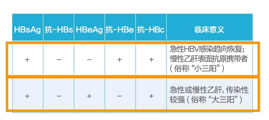 乙肝兩對半的5種常見錯誤解讀