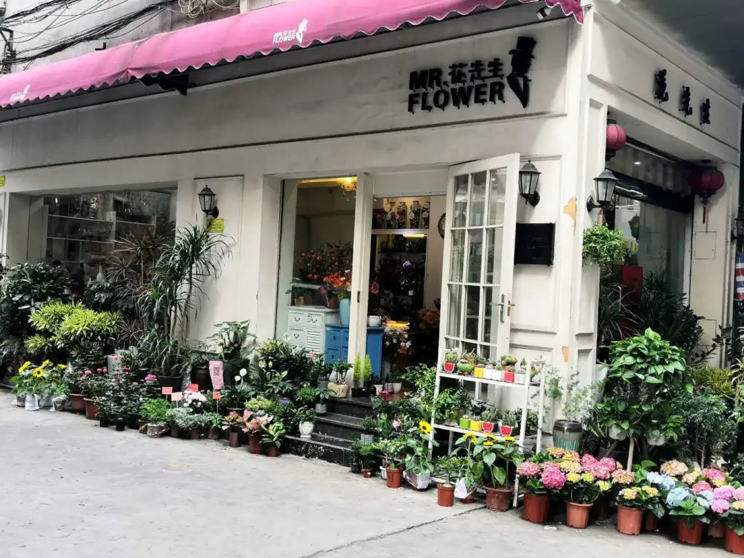 花先生花店·花瓶赞助·装饰花赞助·人力资源协助美居绿植物店
