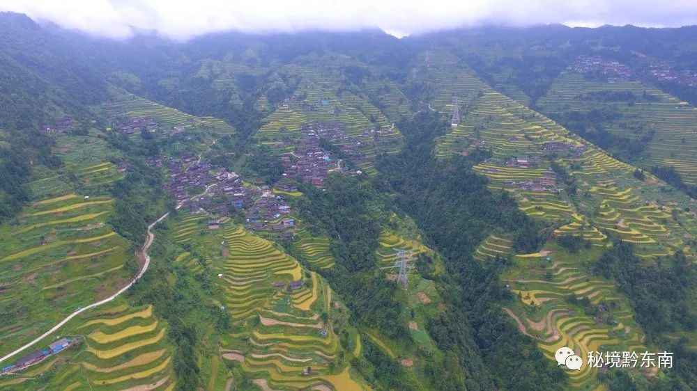 关注走进丹寨县排调镇羊先村感受中国少数民族特色村寨的独特魅力