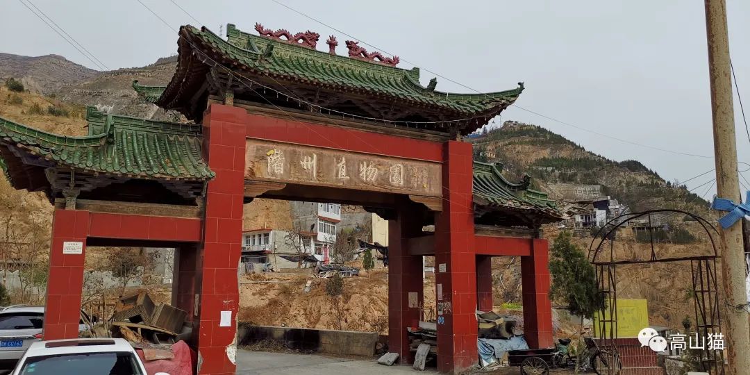 随拍分享高山猫武都北山植物园一个可以看武都全景的地方