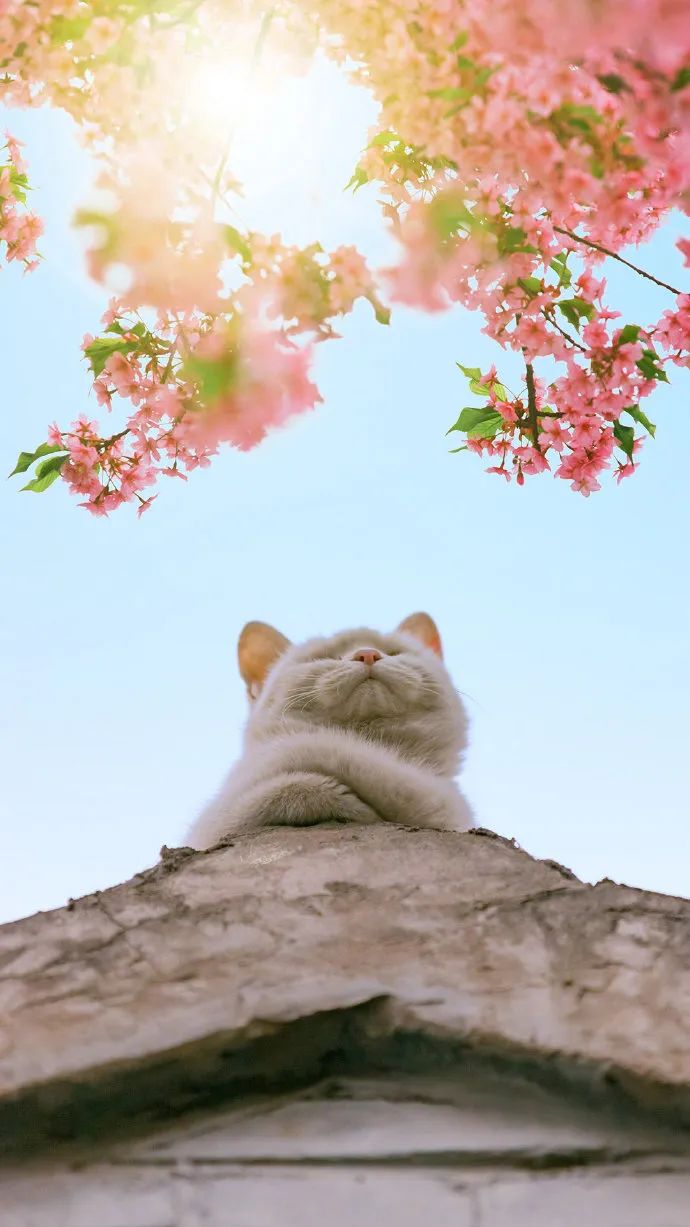 春天是什么神仙季节啊这些作品治愈我千万遍