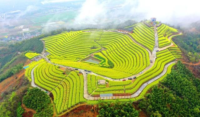 就在这周末富阳邀您开启一站式网红游