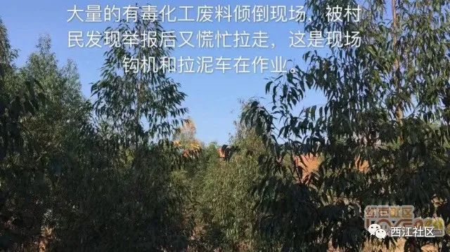 父子这么大胆把剧毒垃圾倾倒山间毒害村民污染环境,环保局你抓不抓人?