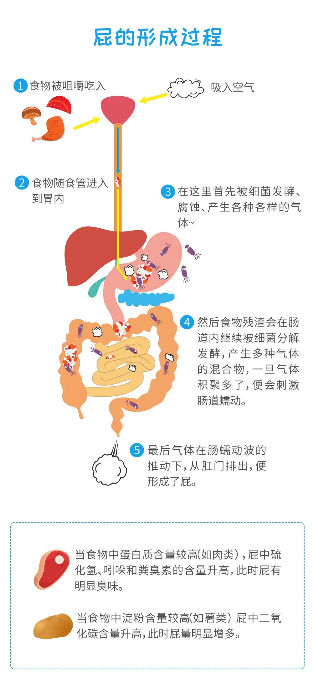 华西专家和你聊聊"屁"大点事儿~_气体