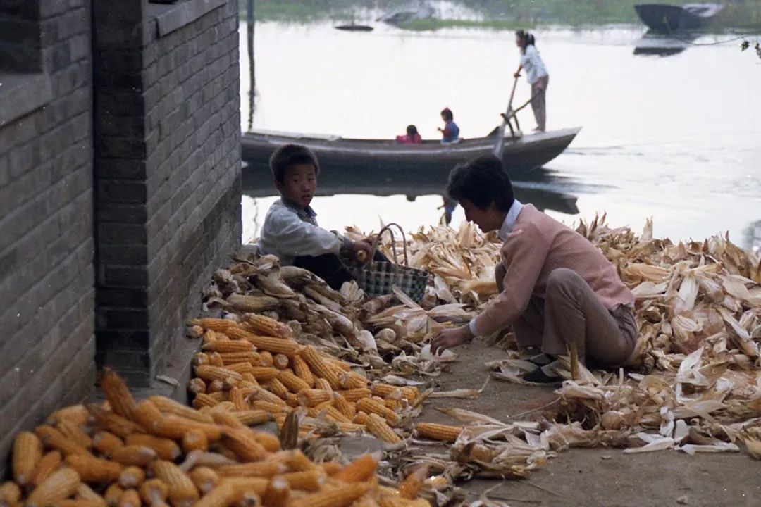 任丘人:带咸菜上学的那些年,你还记得吗.