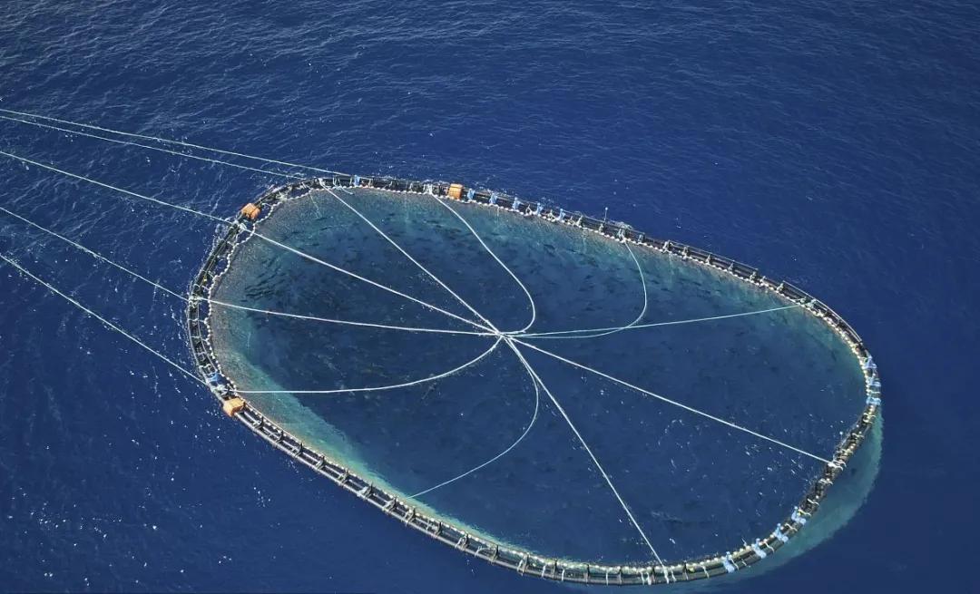 2,雷达网学名叫帆张网,随着潮流的转变改变方向,由于网口始终迎着潮水