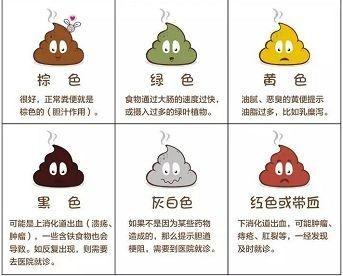 体内有疾大便先知大便的7种形状5个颜色暗示身体的健康情况