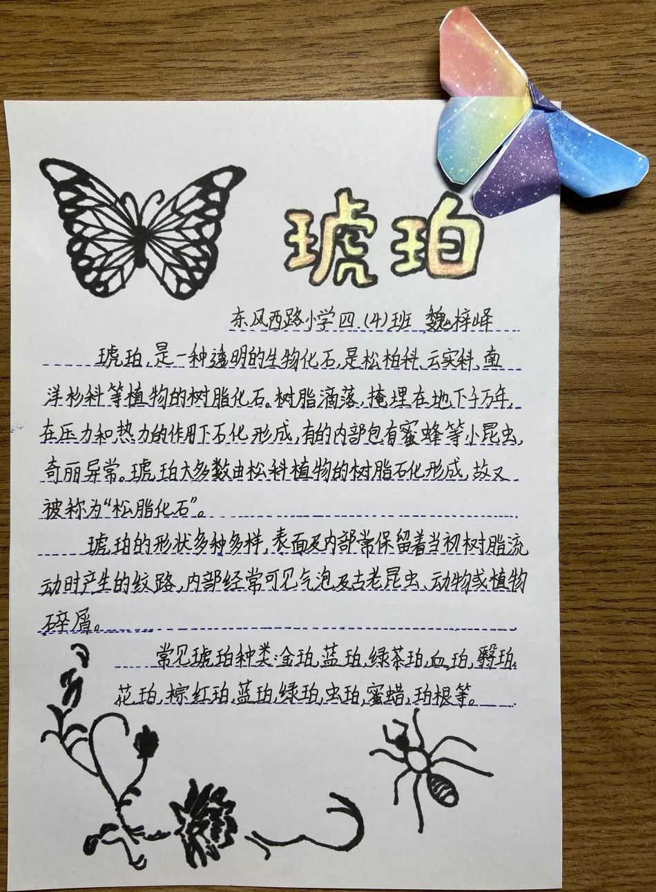 看了这么多制作精美,内容丰富的资料卡,你是不是对琥珀也有了更多的