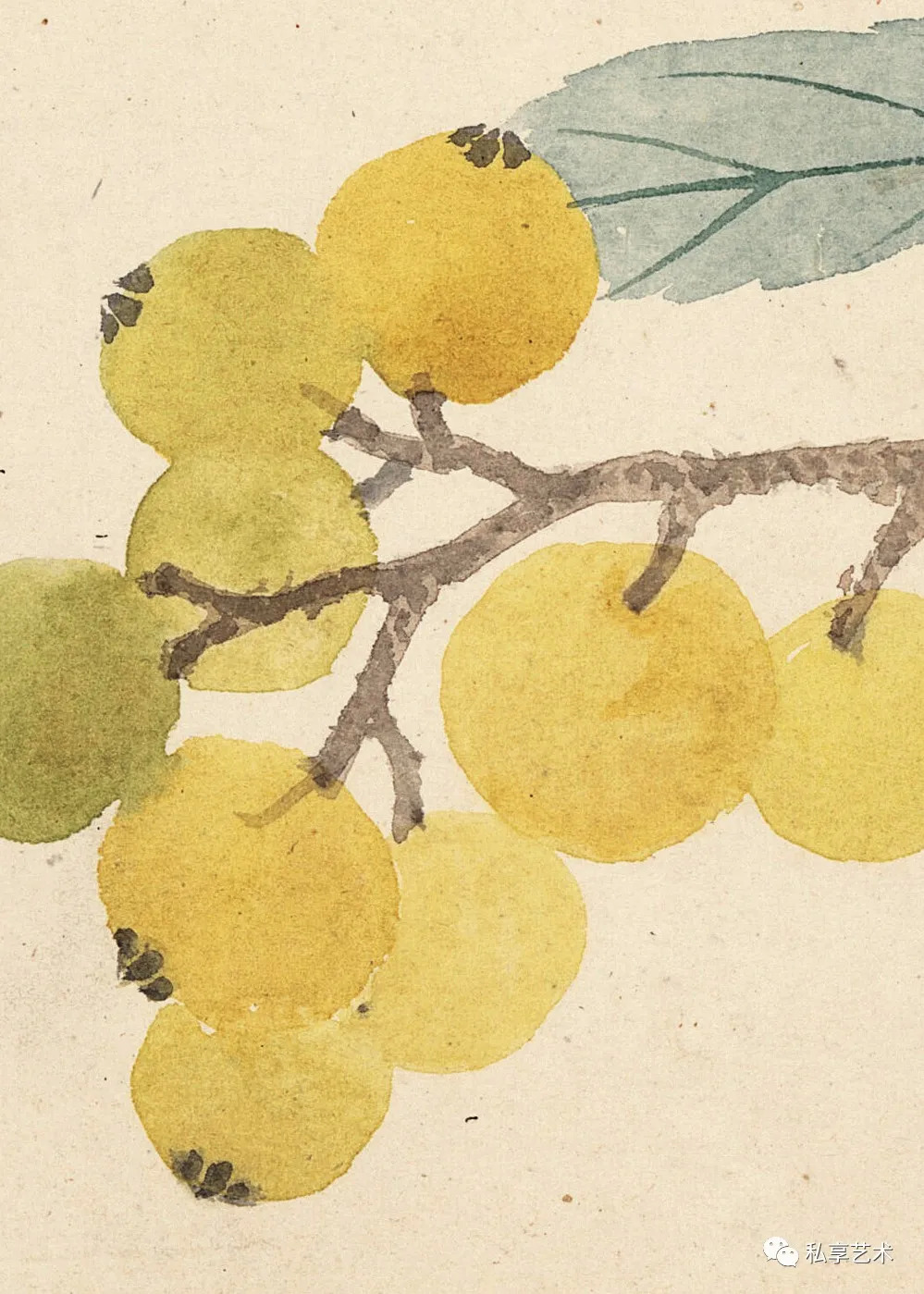 恽寿平一枝千花报春心丨私享