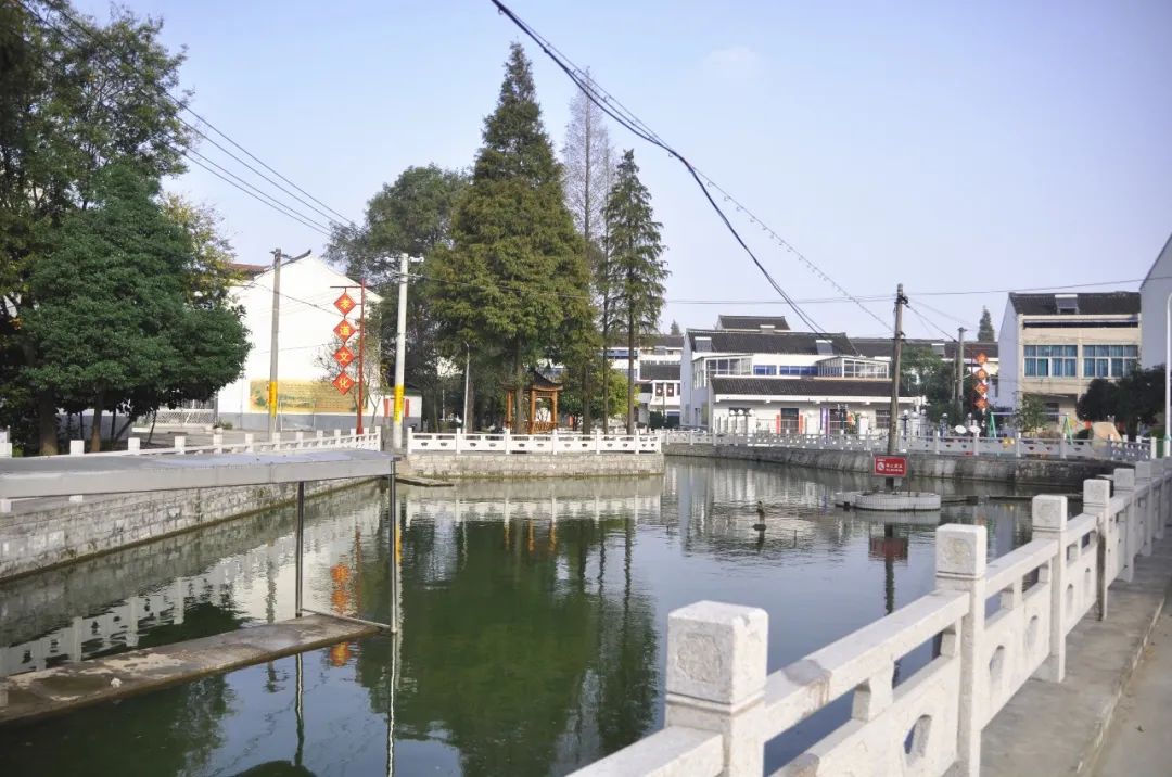 临港头条│乡村振兴璜土村模式受关注