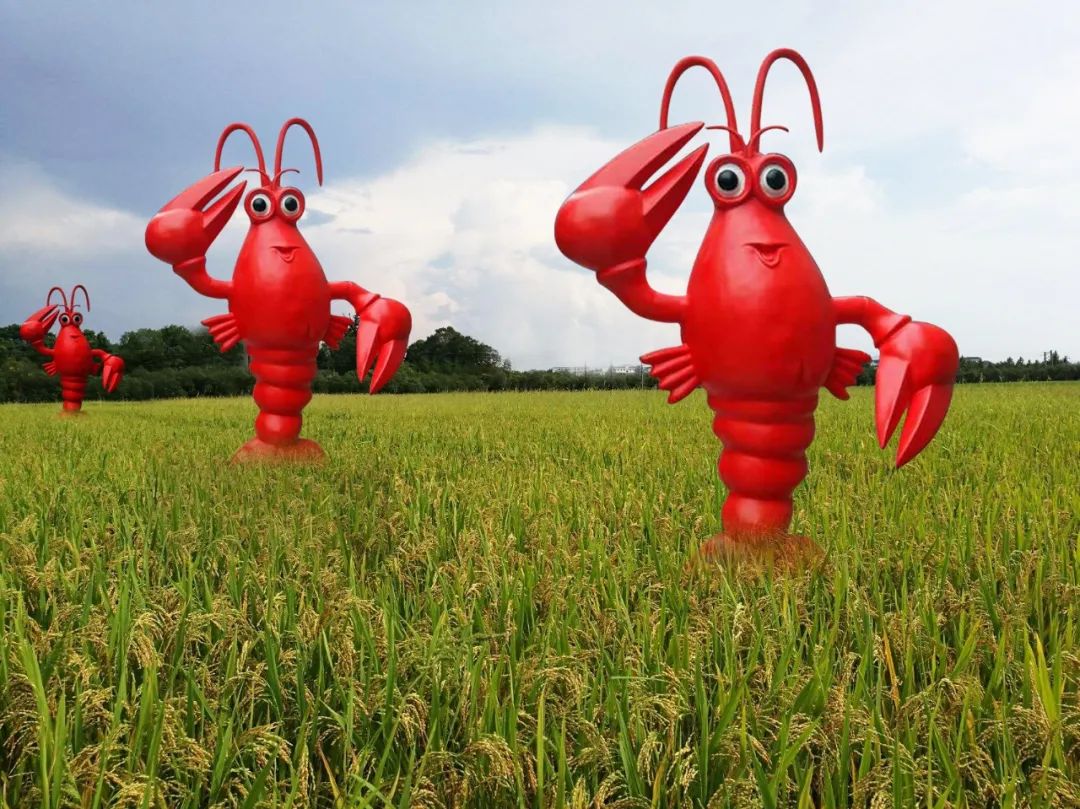 有趣的稻田景观