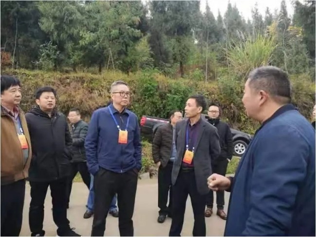 一枚沃柑铺就脱贫兴村路记万州区沃香园家庭农场主王朝伟