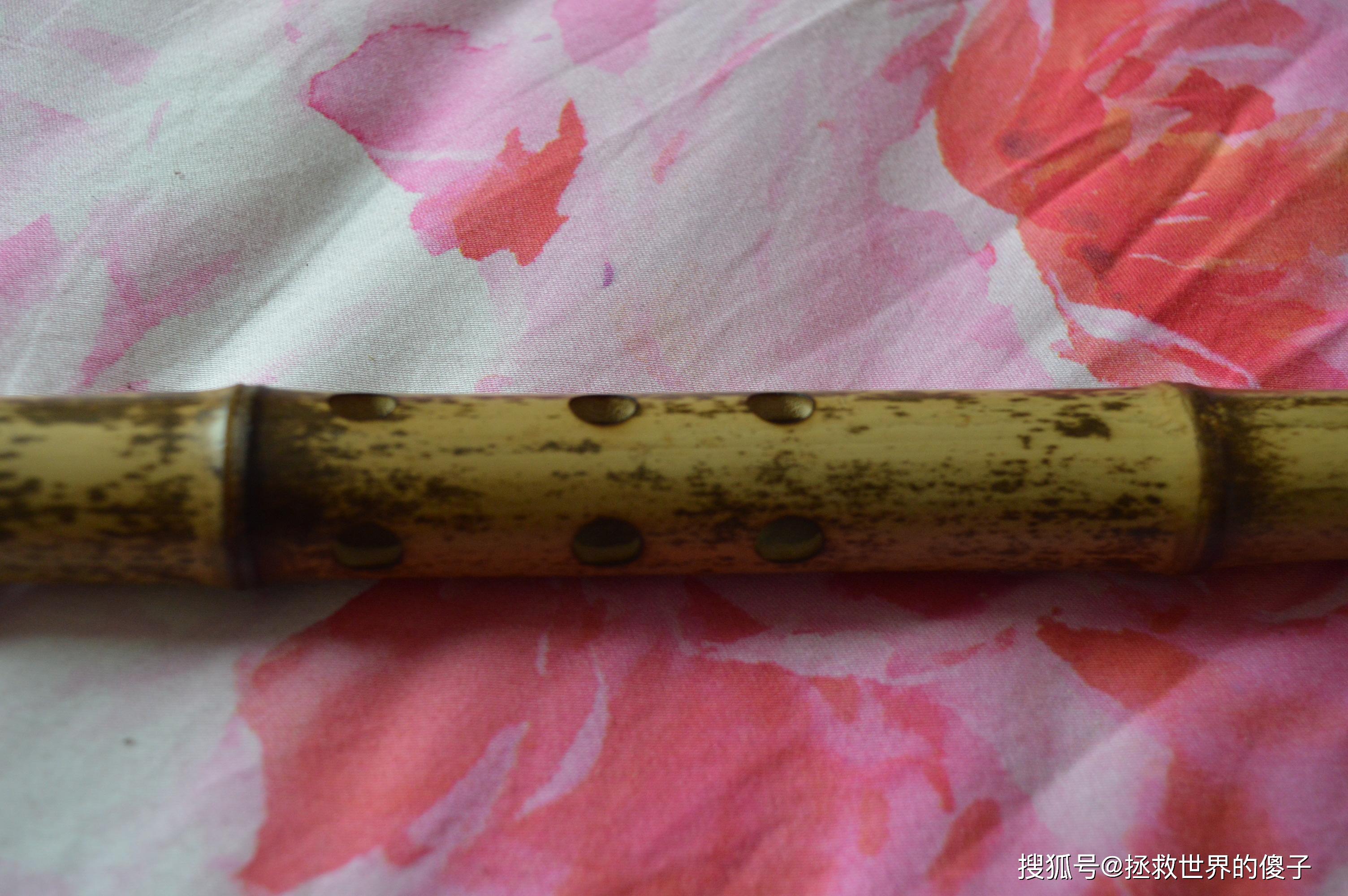 自制漂亮的芝麻斑f调洞箫赏图